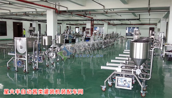 大顆粒醬料灌裝機,豆豉醬灌裝機