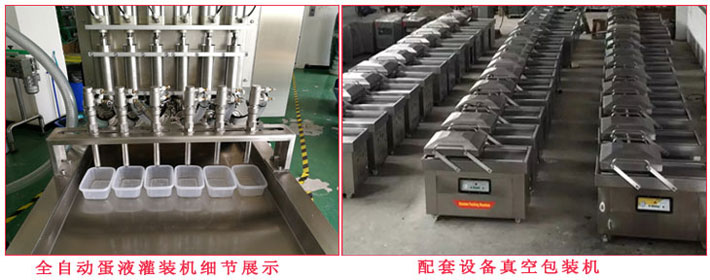 全自動蛋液灌裝機,雞蛋干蛋液灌裝成型機